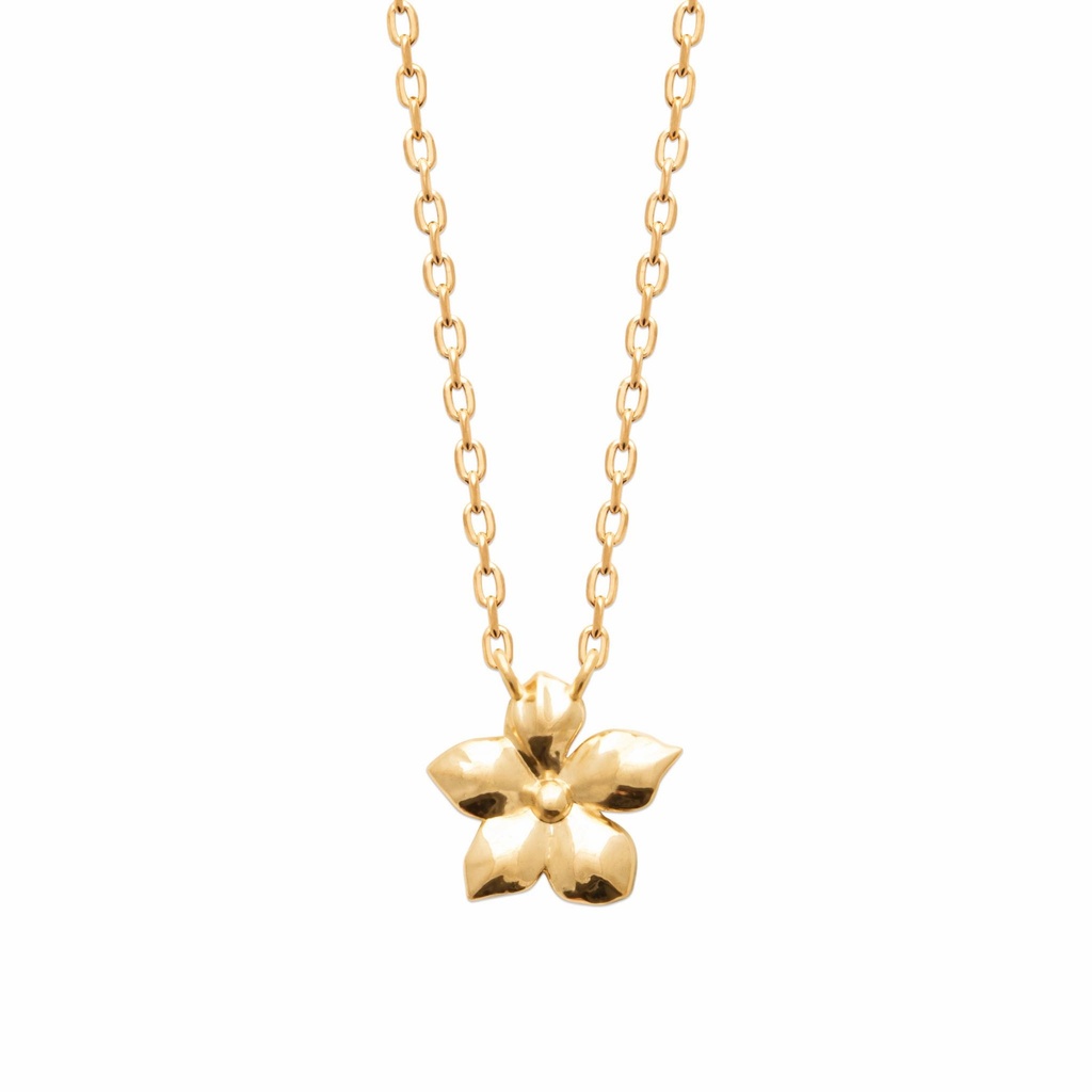 COLLIER FLEUR - PLAQUE OR