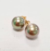 [STUDS29ORJ] STUDS Perle or