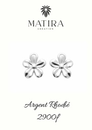 [ARGFL] Boucles d'oreilles en argent fleurs